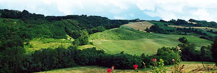 La Conca d'Oro